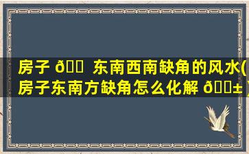 房子 🐠 东南西南缺角的风水(房子东南方缺角怎么化解 🐱 )